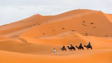 A group of people riding camels across a vast desert landscape with rolling sand dunes.