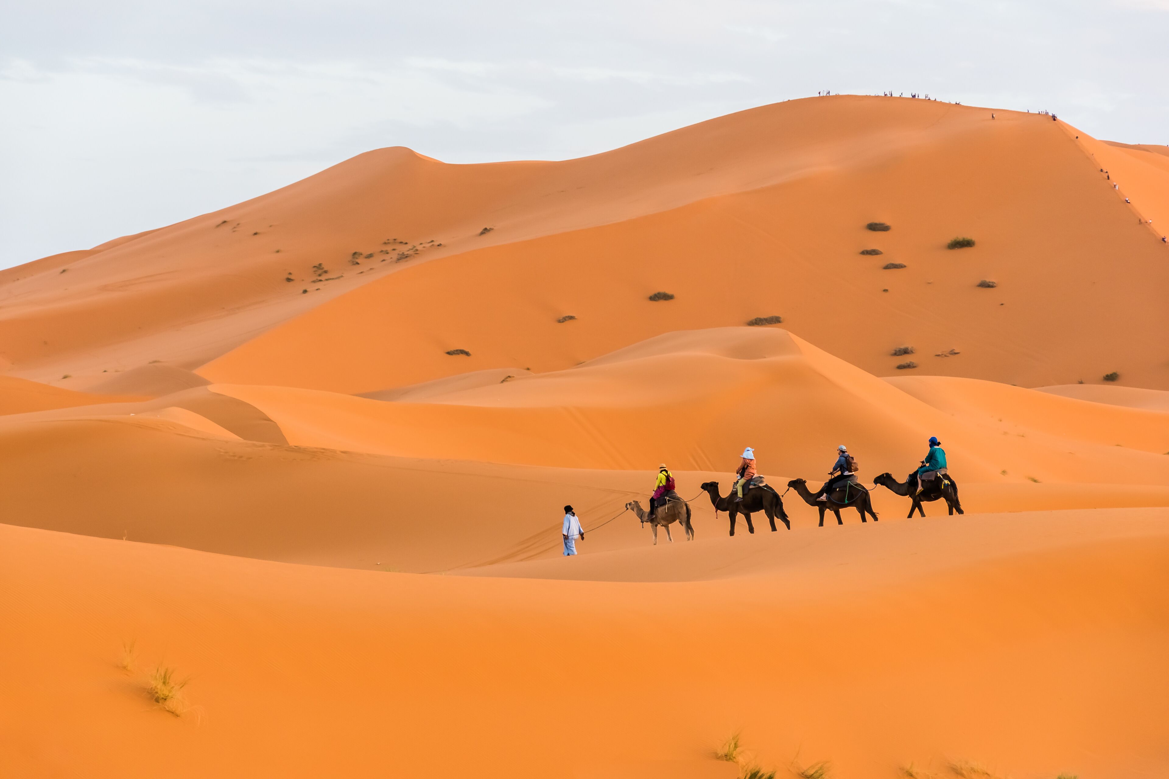 A group of people riding camels across a vast desert landscape with rolling sand dunes.