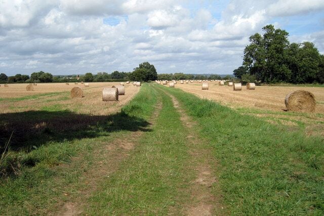 Baled Field off Sheephurst Lane, near Marden, Kent