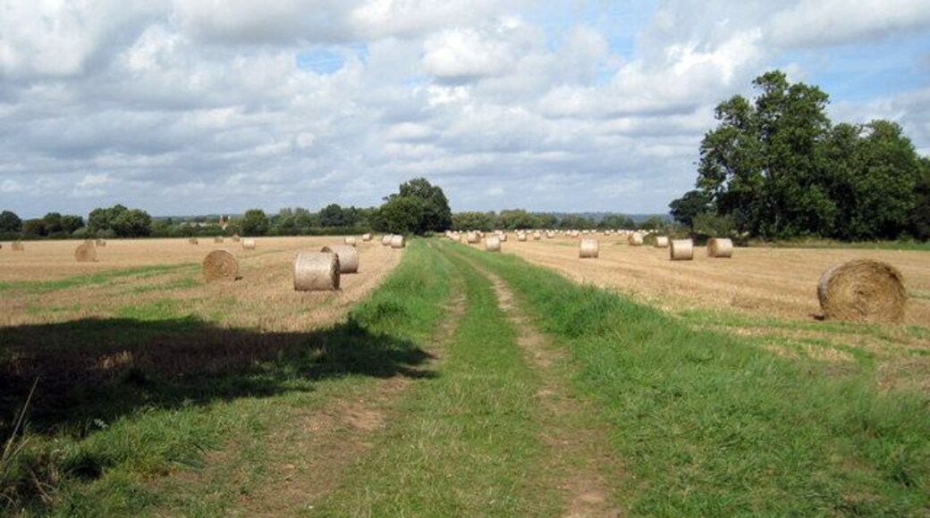 Baled Field off Sheephurst Lane, near Marden, Kent
