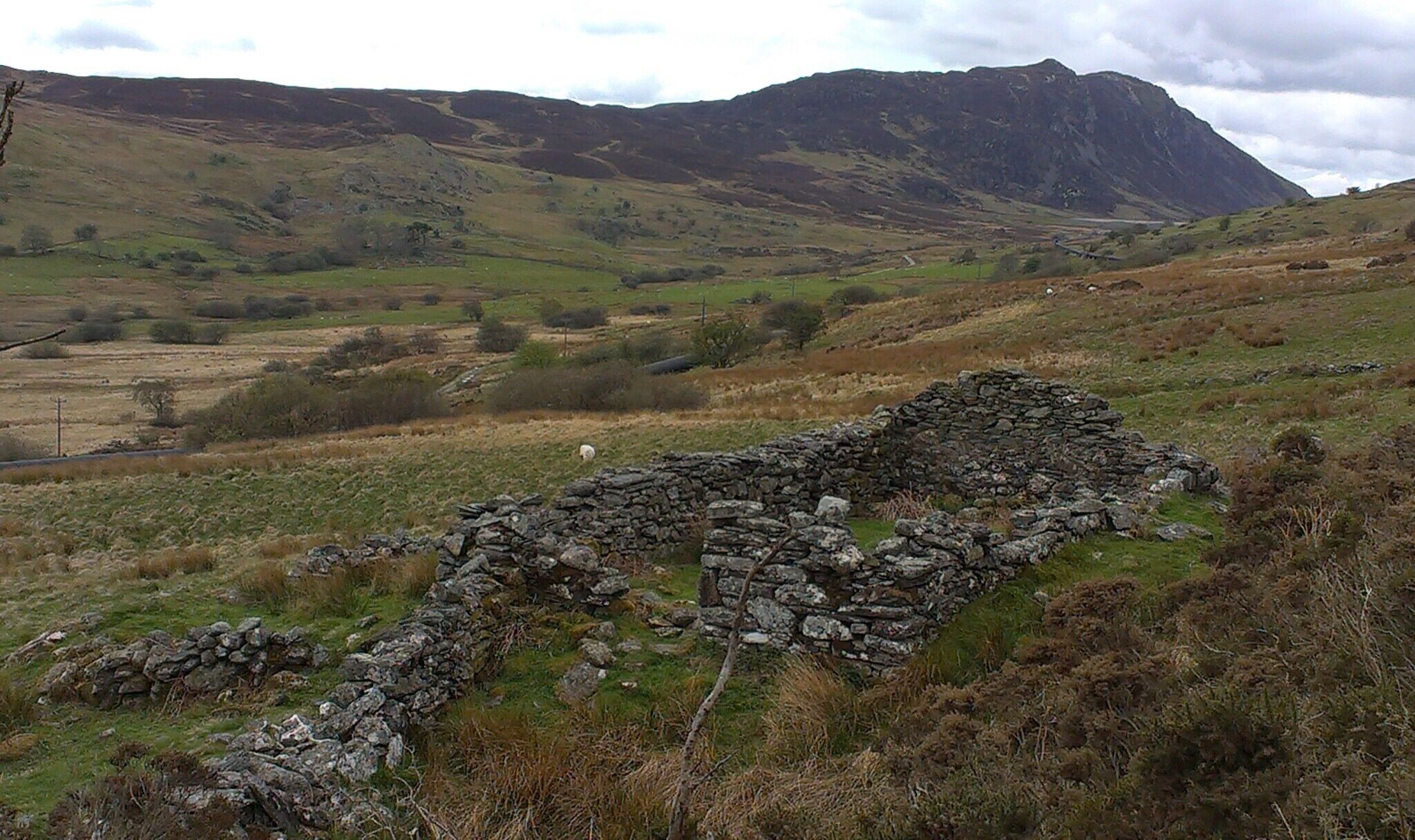looking up Cwm Cowlyd from the Roman Road. Cowlyd Dam in the distance