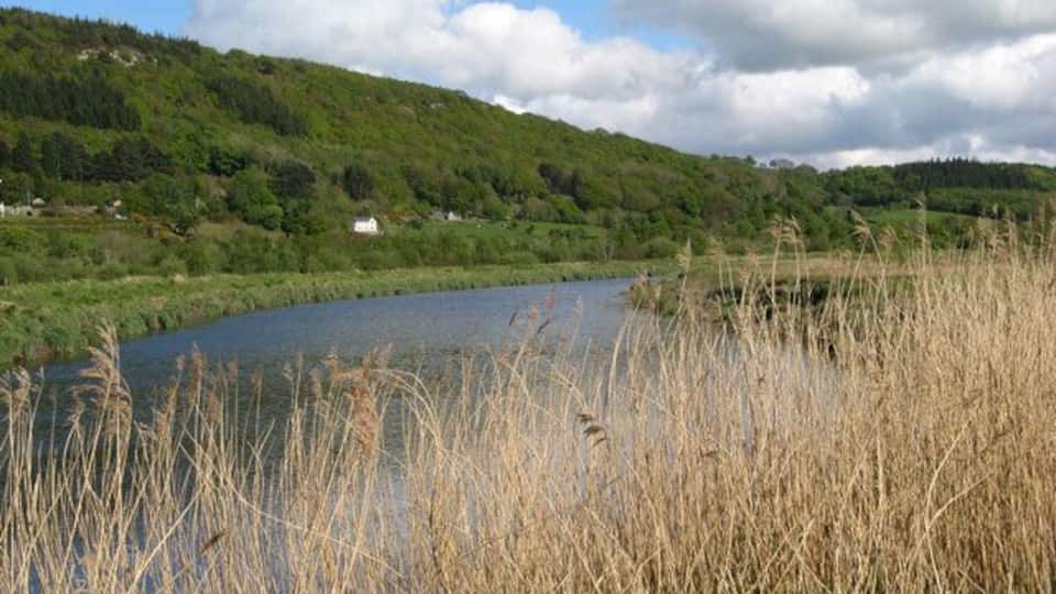 A lake surrounded by grassy banks and a forested hillside.