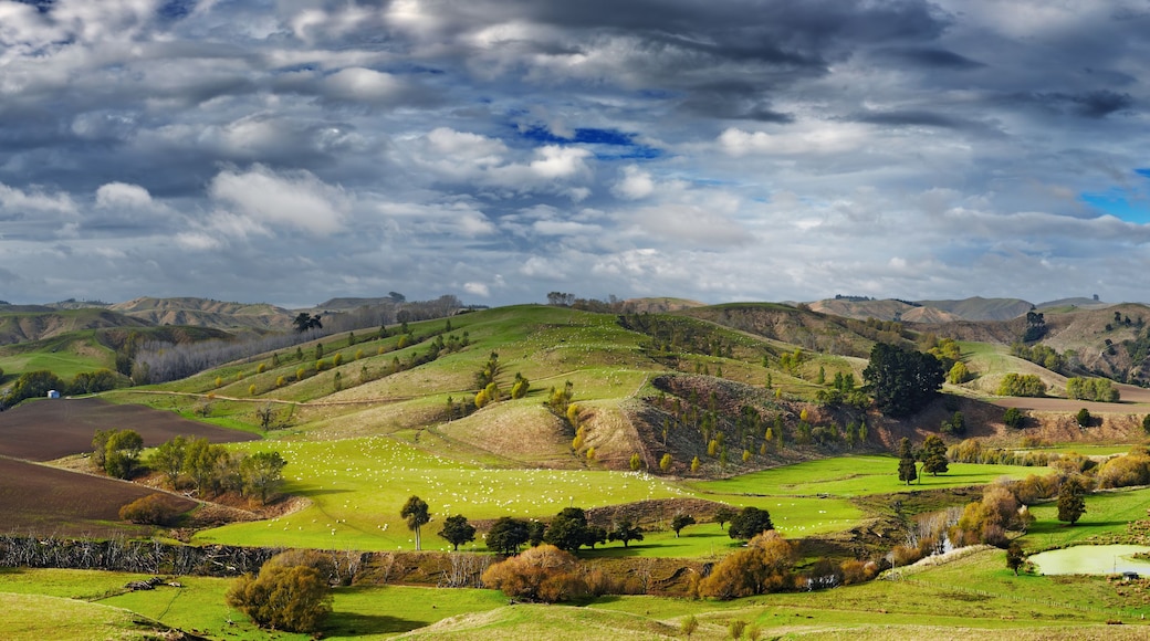 Pahiatua