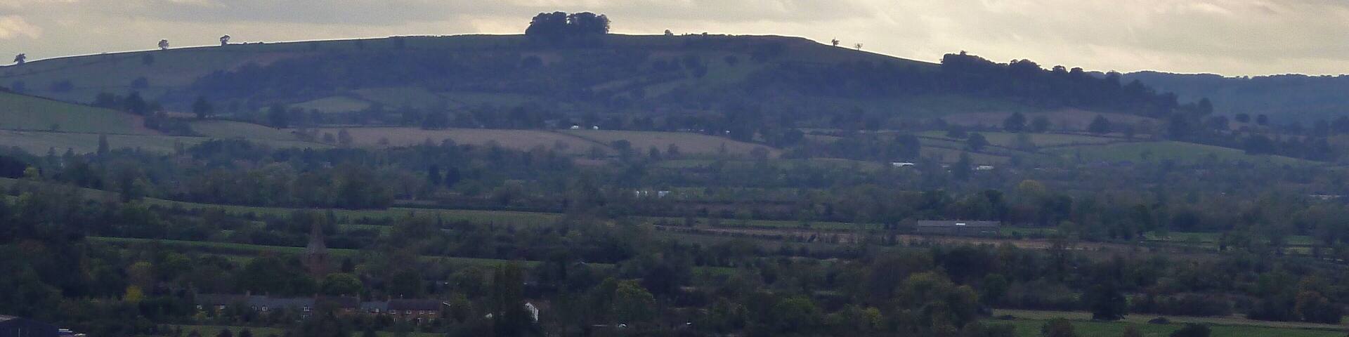 Brailes Hill and Highwall Spinney.