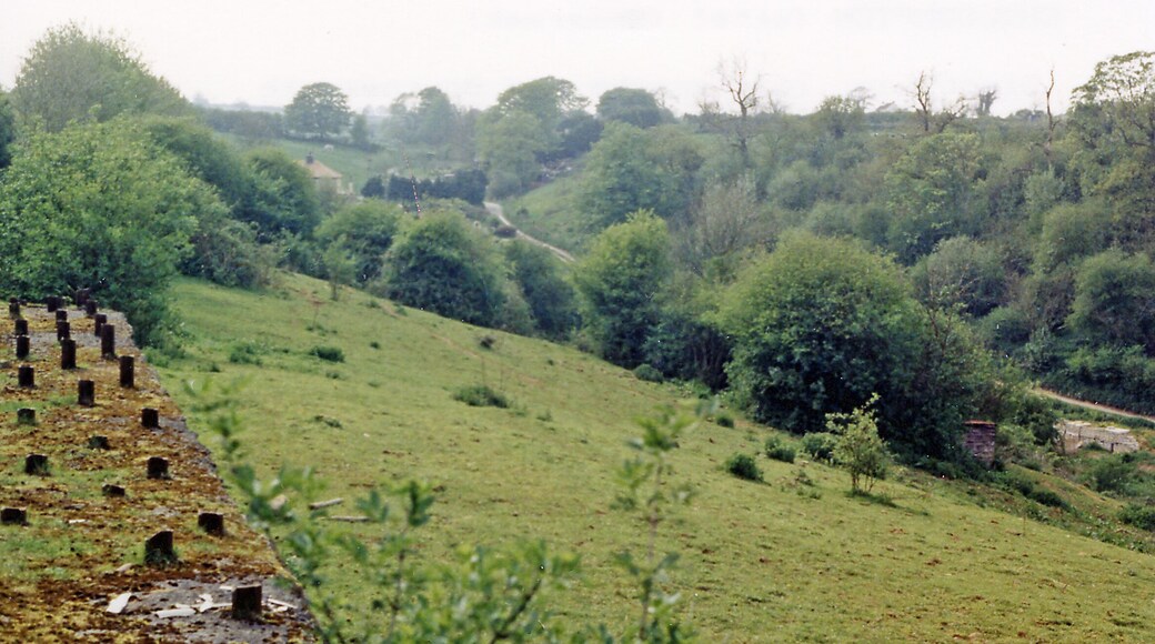 Site of Chilcompton station, 1987. View SW, towards Evercreech Junction, Templecombe and Bournemouth: ex-Midland & LSW (Somerset & Dorset) Joint line, Bath - Bournemouth West. This was on the long climb from Radstock to Masbury Summit; ahead was Chilcompton Tunnel. The whole line was closed on 7/3/66.