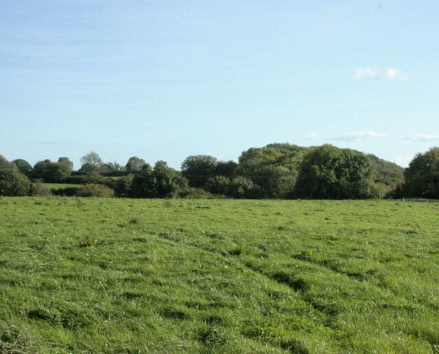 Pasture south west of Coalpit Lane