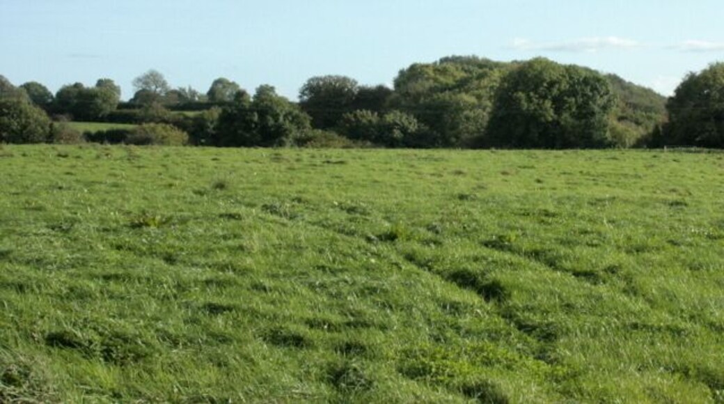 Pasture south west of Coalpit Lane