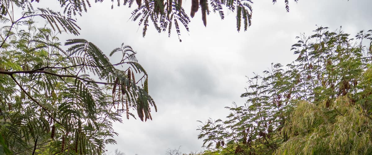 Ellensbrook, Western Australia