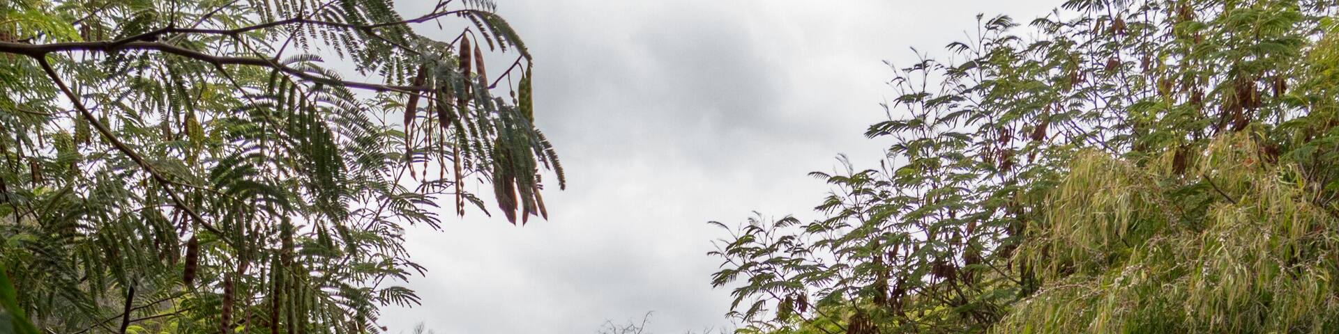 Ellensbrook, Western Australia