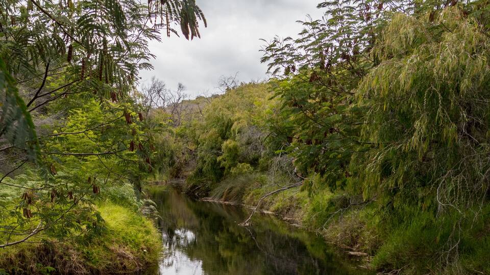 A calm river with surrounding greenery and a rocky foreground.