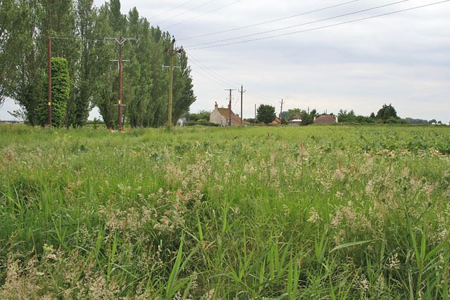 Farmland on White Cross Lane, Surfleet.