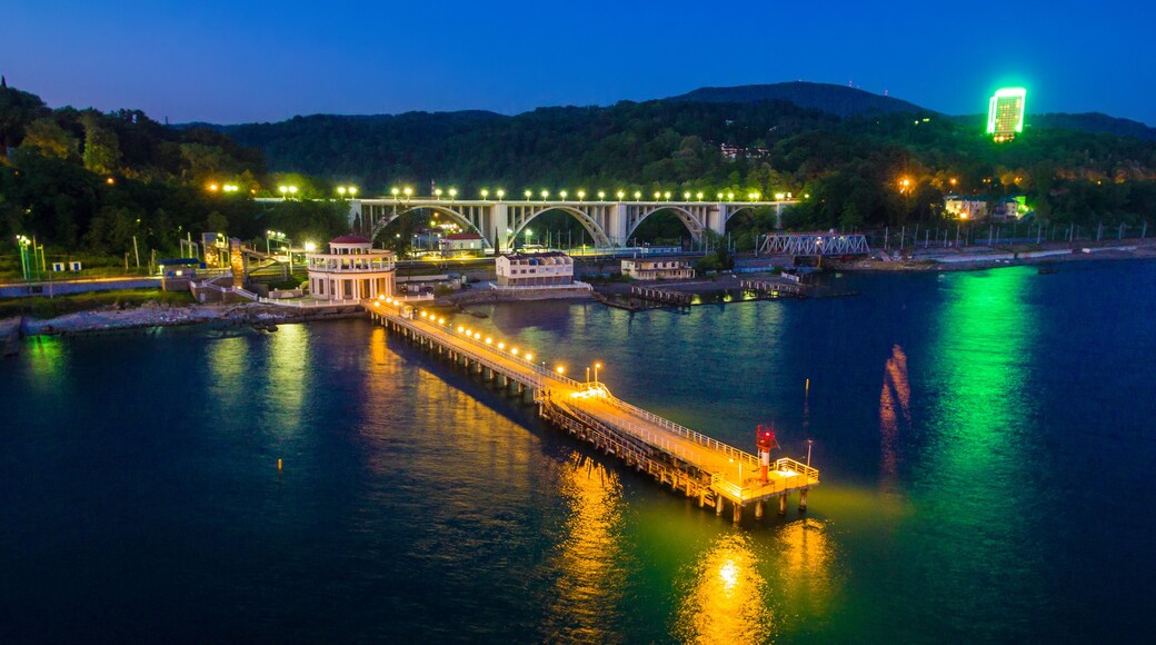 A bridge with lights, a dock, and a hill in the background.