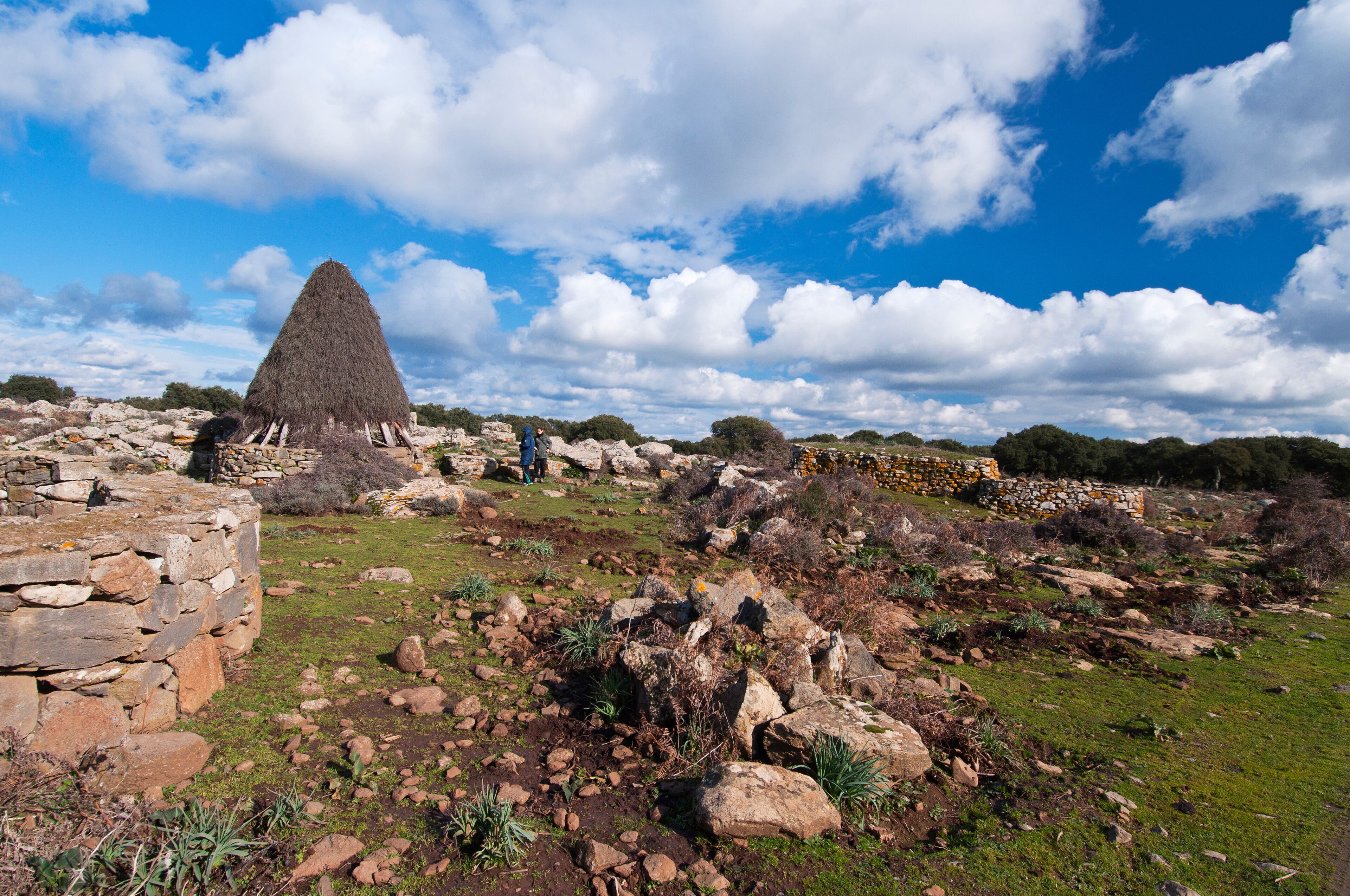 Coili Sa Bovida, Sheepfold, Giara di Gesturi basaltic upland, Marmilla, Medio Campidano Province, Sardinia, Italy