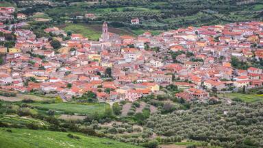 A densely packed hillside town with red-roofed buildings, a prominent church, and surrounding olive groves.