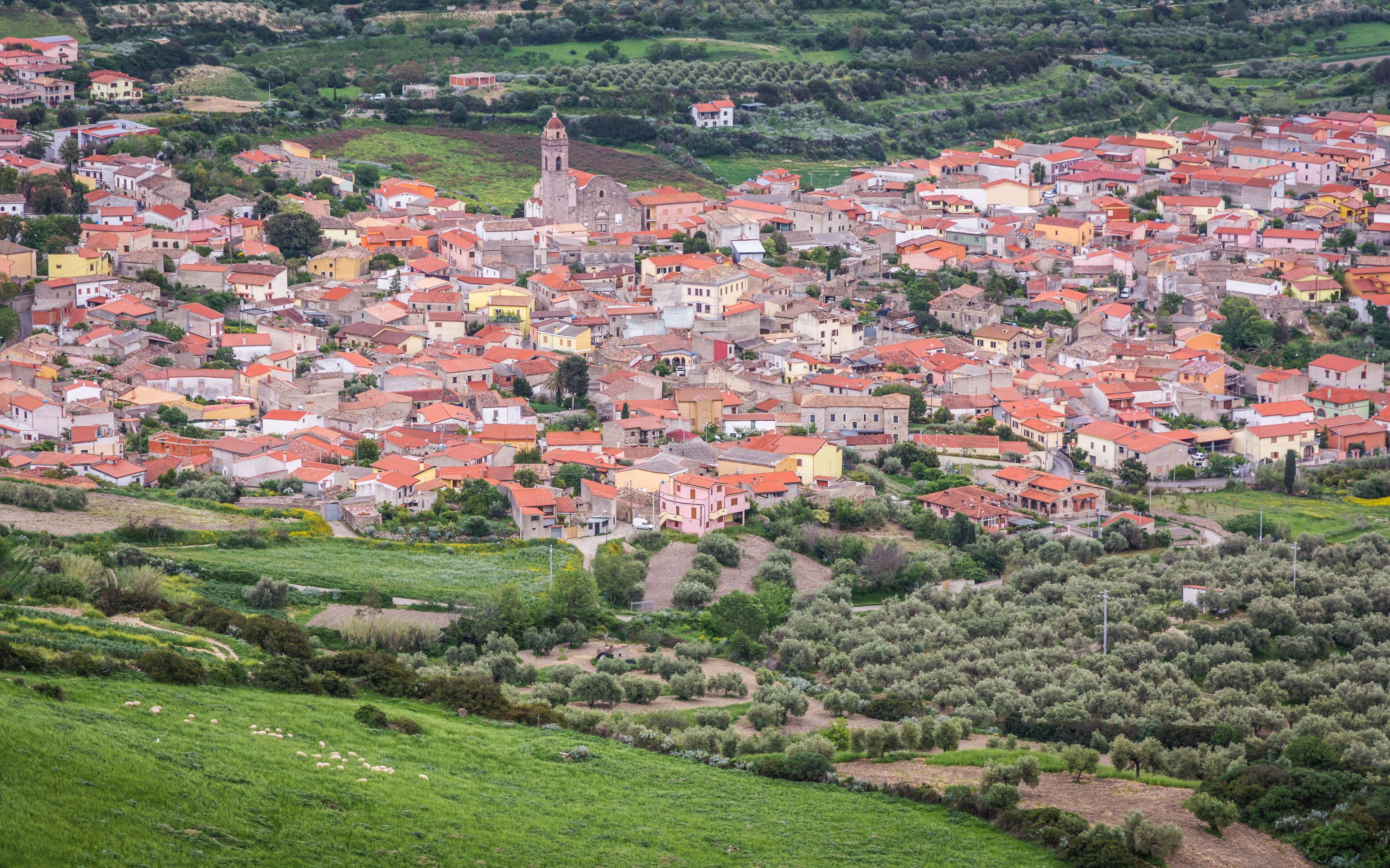 A densely packed hillside town with red-roofed buildings, a prominent church, and surrounding olive groves.