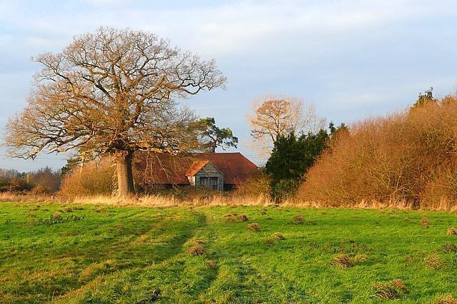 Paisagem rural com uma grande árvore, um celeiro e um campo.