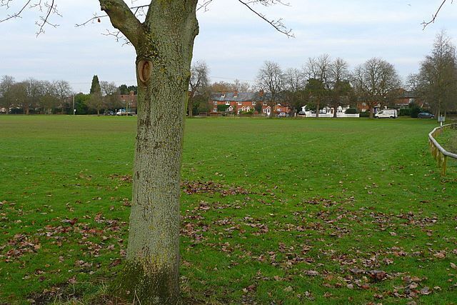 Sherfield village green A third of the green is in this square, the rest in SU6758.