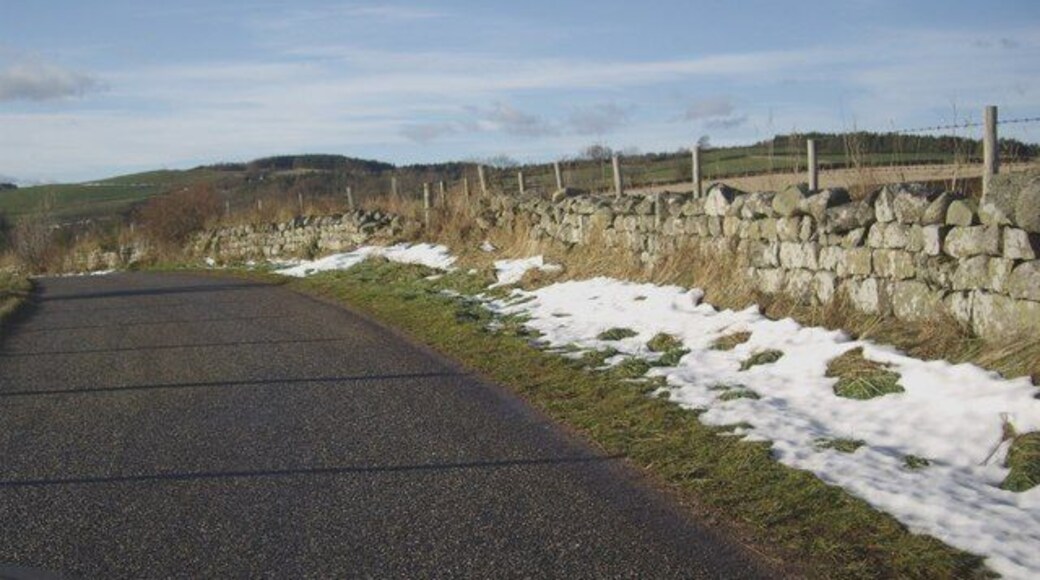 Melting snow By the side of the road to South Footie, the week after our regular late November blizzard.