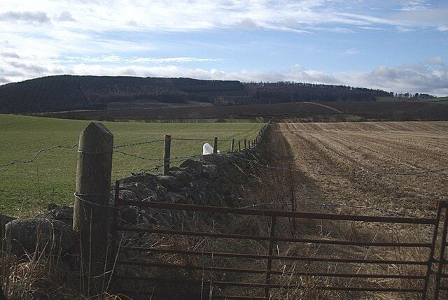 Field Boundary South of Beltie Road.