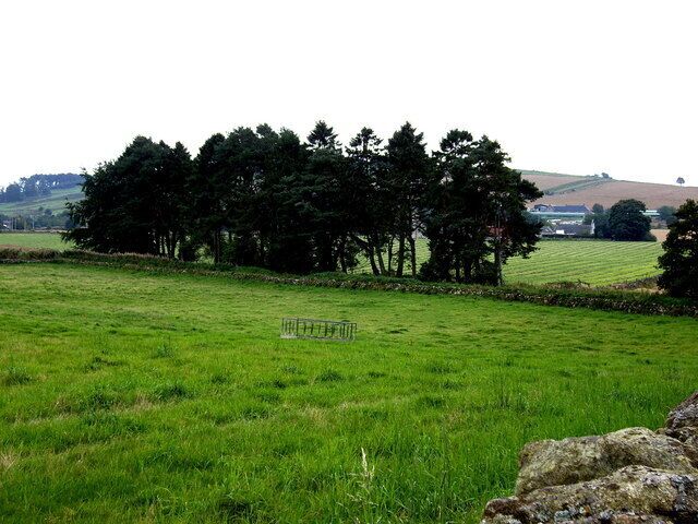 Un campo cubierto de hierba con una fila de árboles y un muro de piedra al frente.