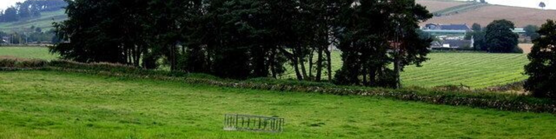 Un campo cubierto de hierba con una fila de árboles y un muro de piedra al frente.