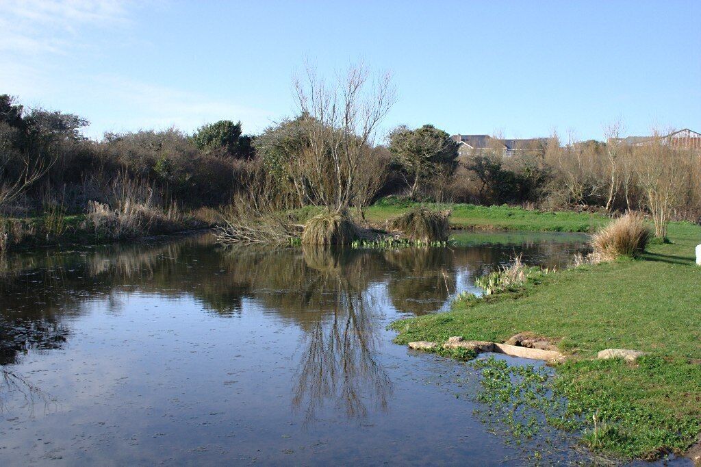 East Prawle Duck Pond - Again. Looking a little less turgid then when I last saw it - 1476262
