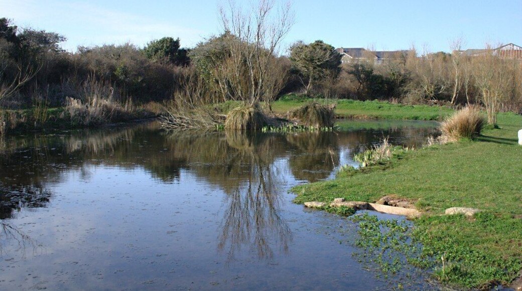 East Prawle Duck Pond - Again. Looking a little less turgid then when I last saw it - 1476262