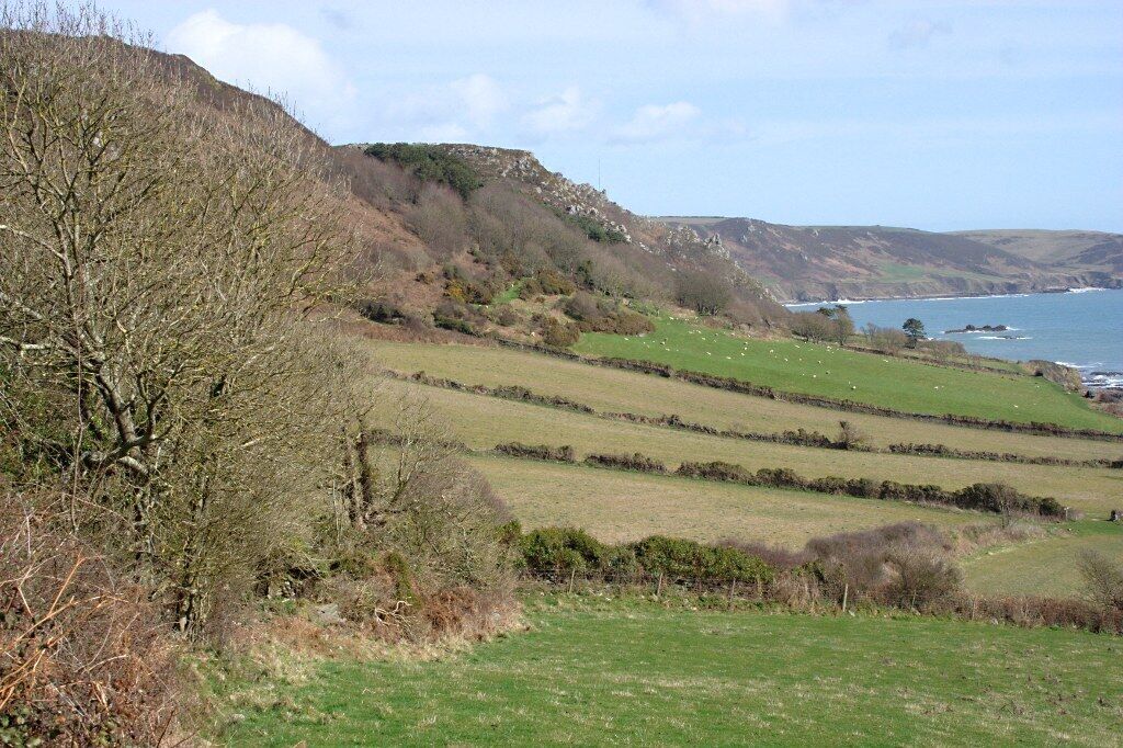 Fields below Hines Hill Fields sloping down towards the sea from the ancient sea cliffs of Hines Hill.