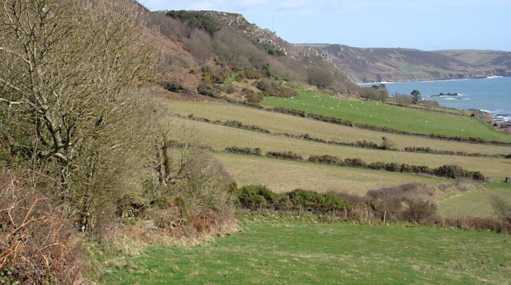 Fields below Hines Hill Fields sloping down towards the sea from the ancient sea cliffs of Hines Hill.