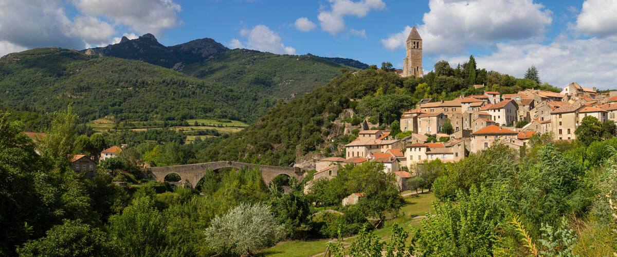 A village with a prominent tower on a hill, surrounded by lush greenery and a stone bridge.