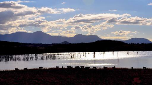 Most Australians have never heard of this beautiful part of Queensland, but it's not far from the sandy beaches of the Gold Coast and definitely worth the drive.