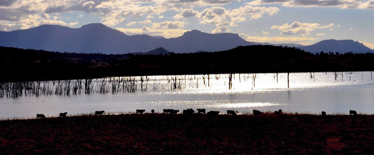 A lake with cattle grazing on the shore, mountains in the background, and a cloudy sky.