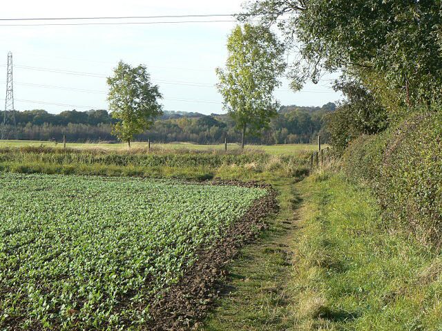 Footpath from Hoveringham This now forms a T-junction with the bridleway along the low hedge at the end of the field, but might well have continued further. The area beyond is now taken up by gravel pits.