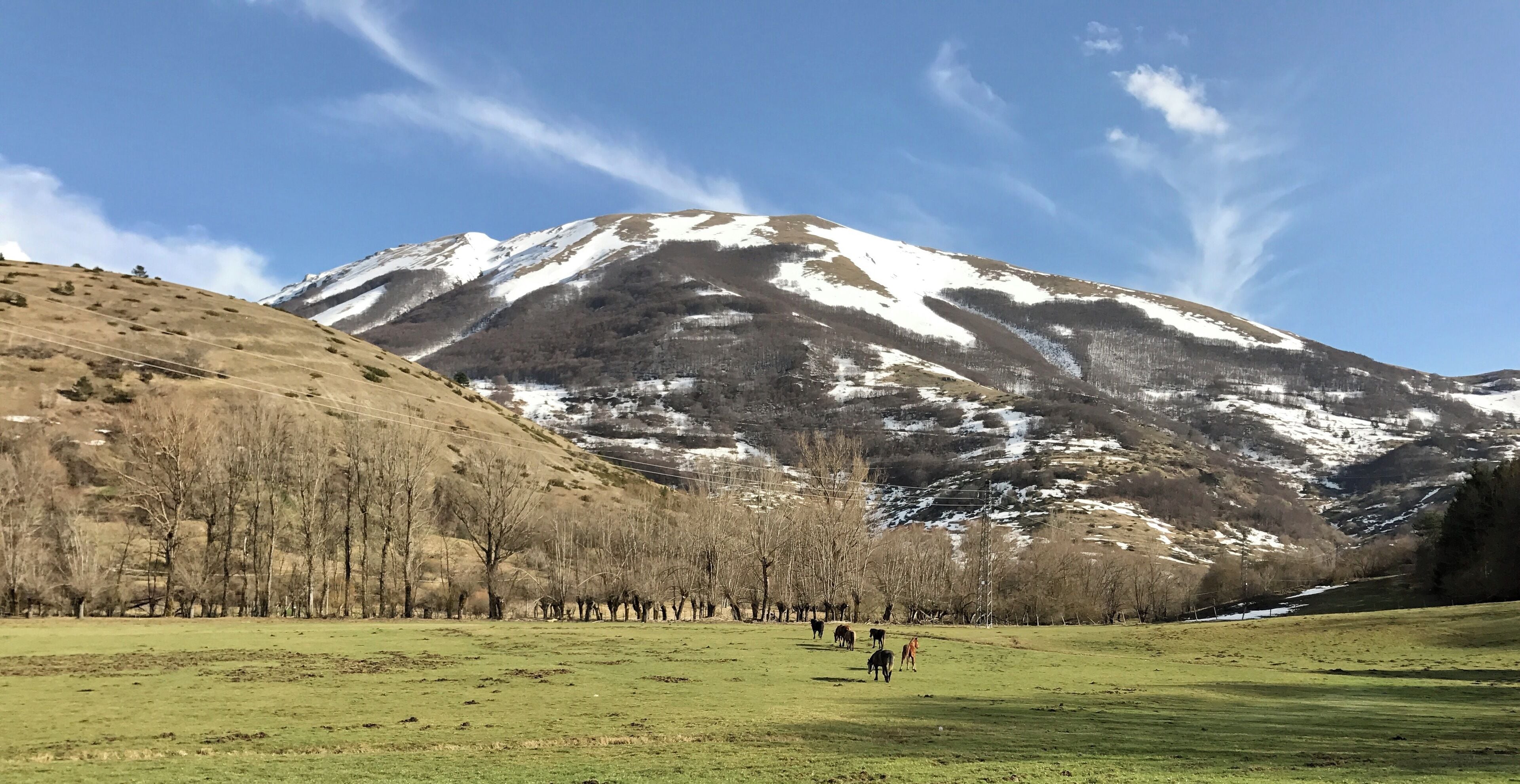 A mountain with snow patches, a grassy field, and leafless trees.