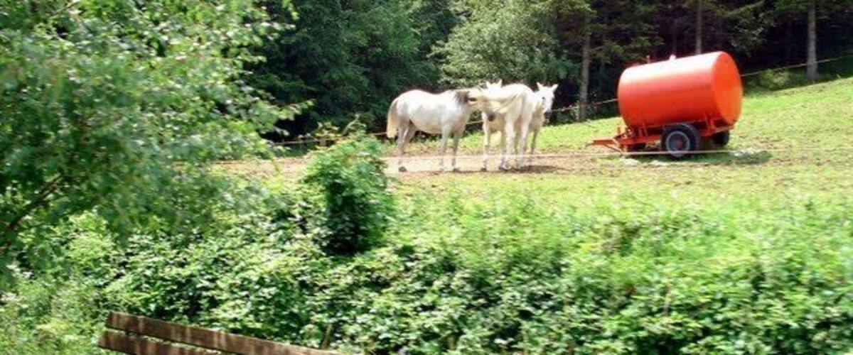 A grassy field with two horses and a red barrel.