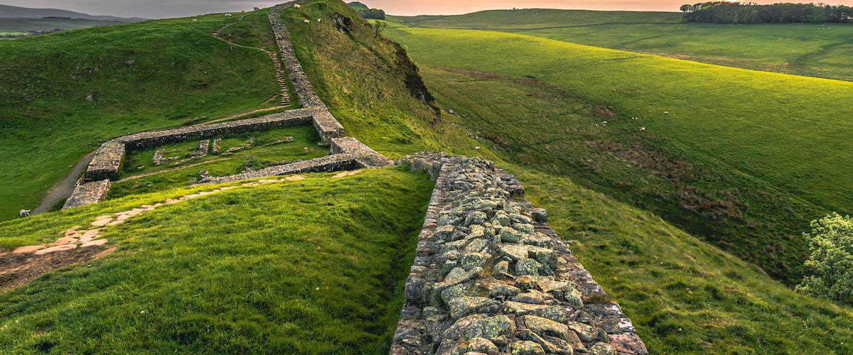 A stone wall leading through a green field with sheep grazing, under a sunset sky.