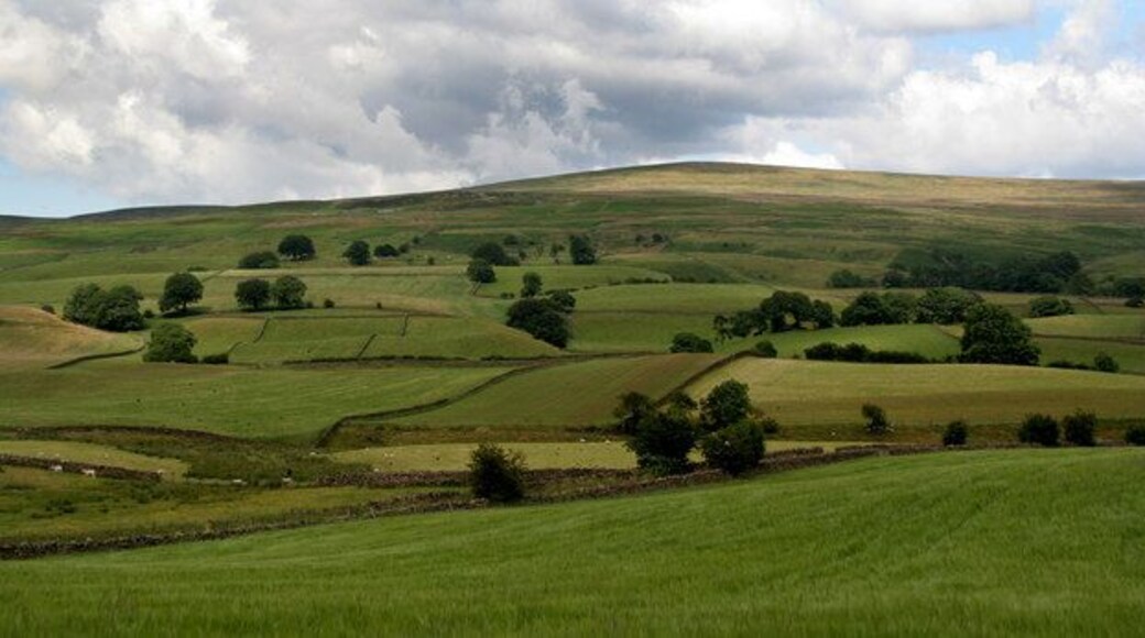 Renwick Fields above Renwick with Renwick Fell in the background.