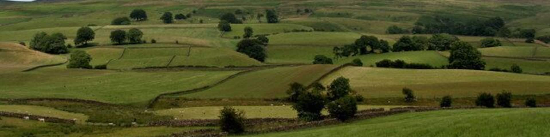 Renwick Fields above Renwick with Renwick Fell in the background.