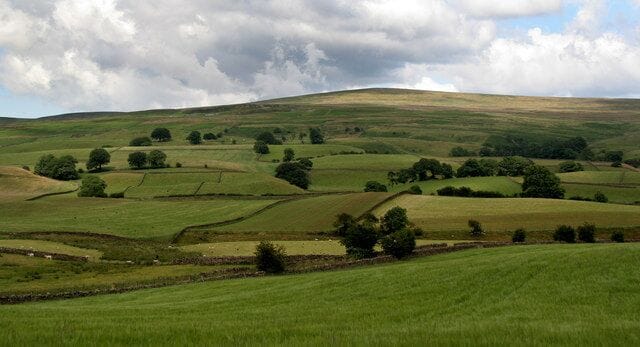 Rolling green hills with scattered trees and stone walls.