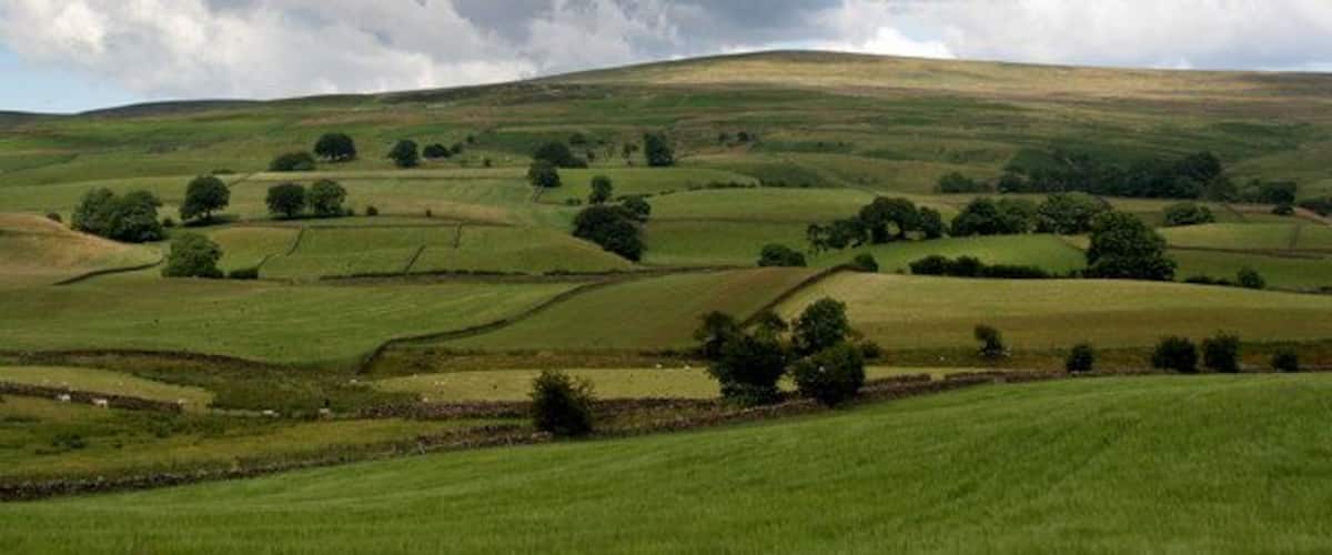 Rolling green hills with scattered trees and stone walls.