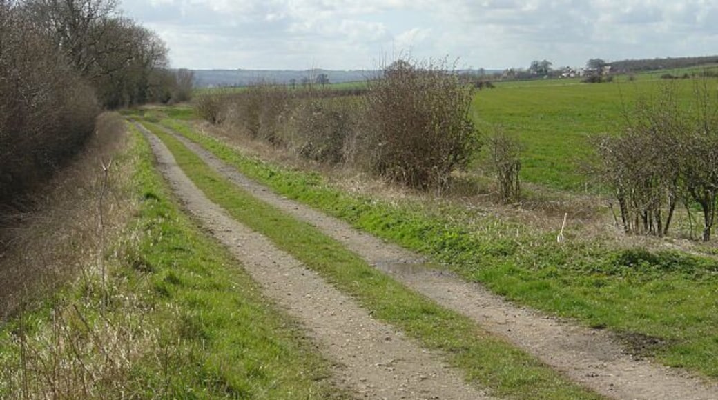 Farm track leading to Hoton Hills