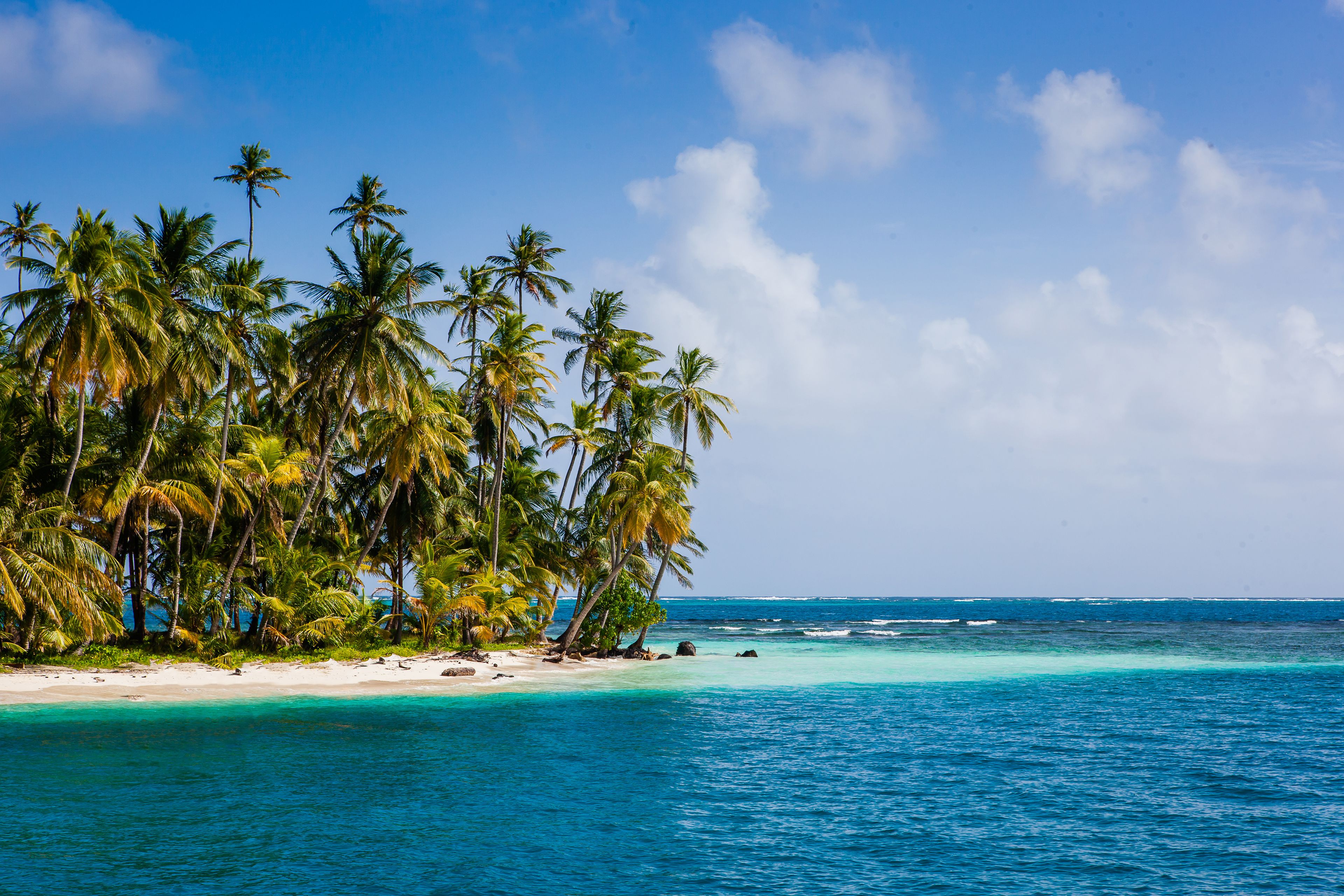 Une plage tropicale aux eaux turquoise et limpides, bordée de palmiers, sous un ciel dégagé.