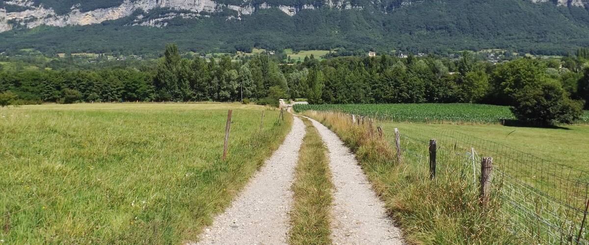 A gravel path leading through a green field with a mountain range in the background.