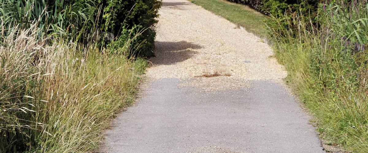 A path bordered by hedging and grass verge, leading to a thatched cottage, at Henham, in Essex, England. Software: RAW file lens corrected, optimized and converted to JPEG with DxO OpticsPro 10 Elite, and possibly further optimized and/or cropped and/or spun with Adobe Photoshop CS2.