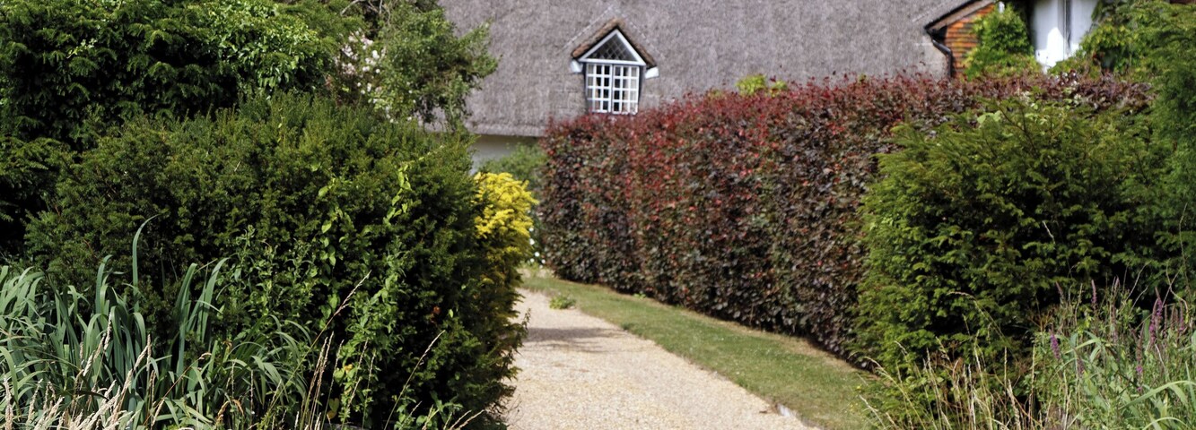 A path bordered by hedging and grass verge, leading to a thatched cottage, at Henham, in Essex, England. Software: RAW file lens corrected, optimized and converted to JPEG with DxO OpticsPro 10 Elite, and possibly further optimized and/or cropped and/or spun with Adobe Photoshop CS2.
