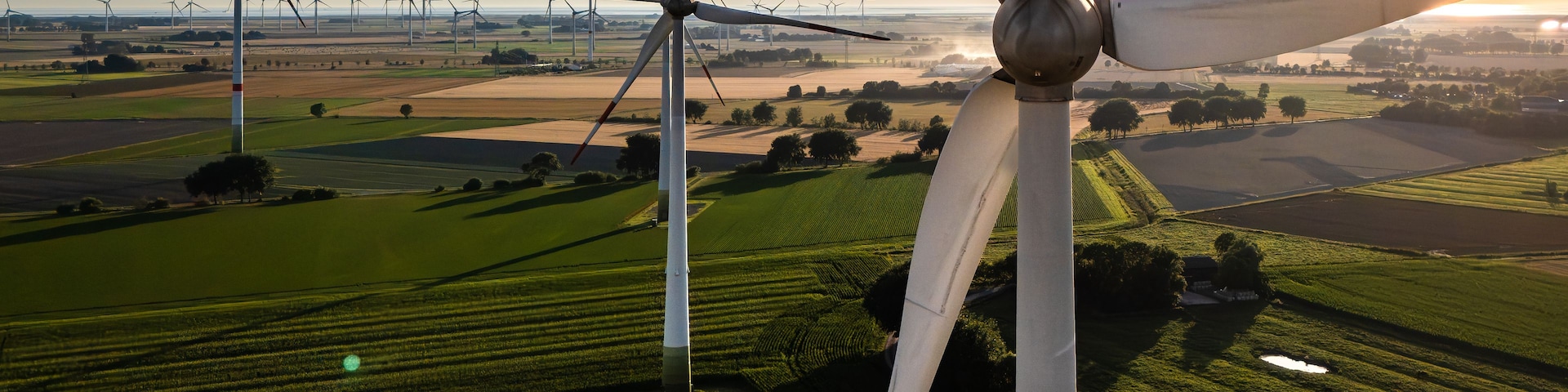 Un paysage comprenant de nombreuses éoliennes et des champs.