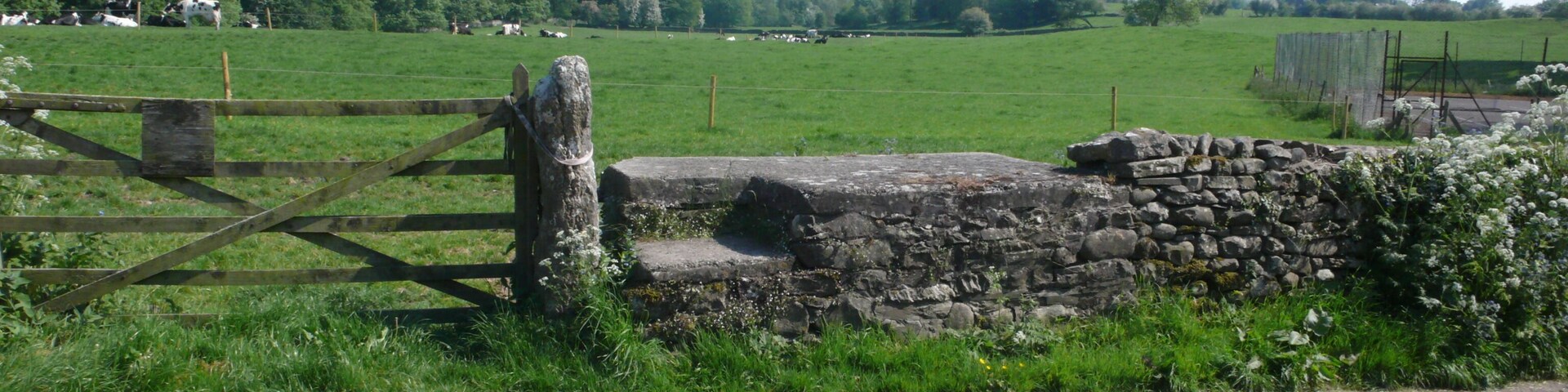 Bradley Farm Milkstand