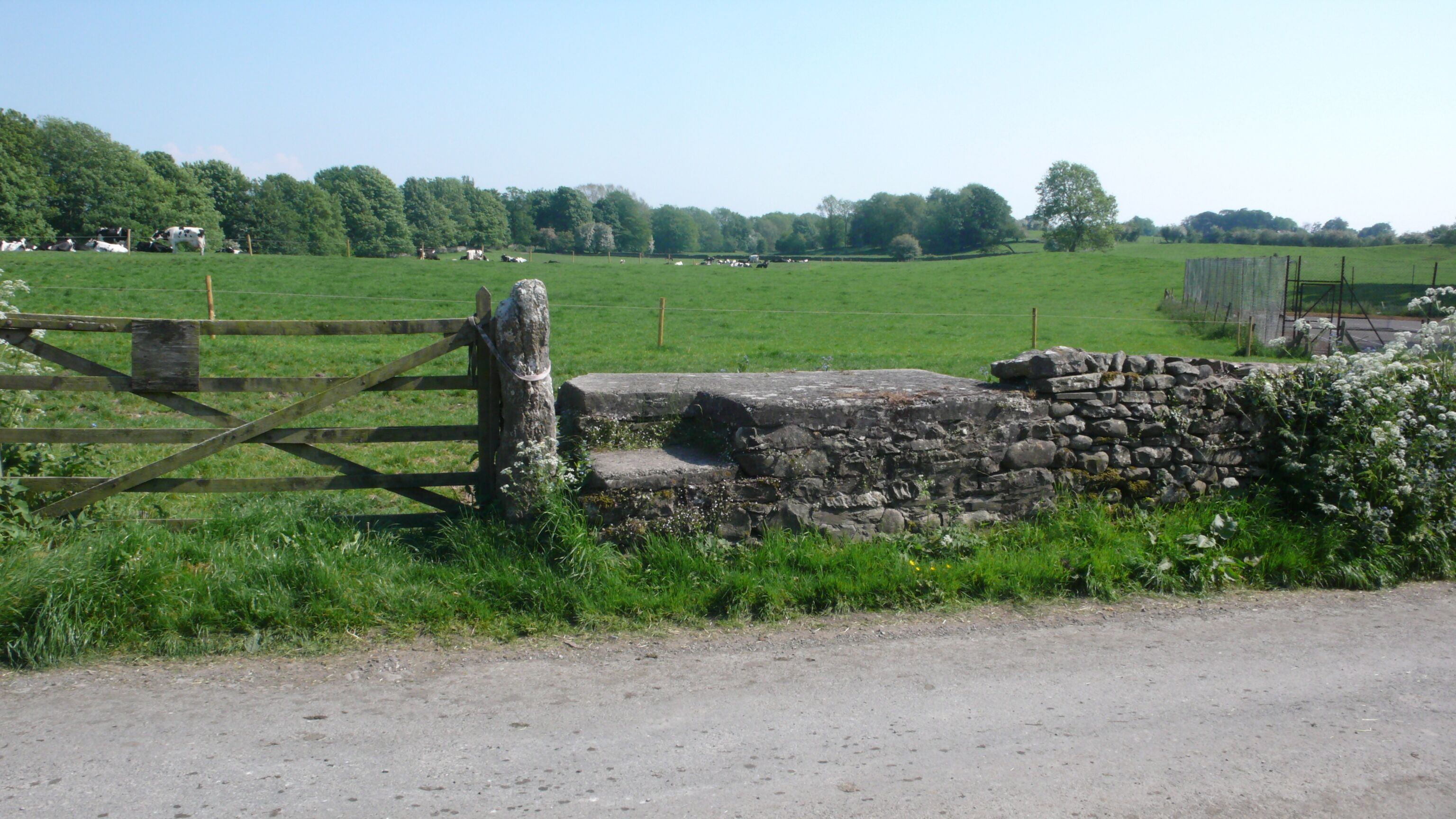 A rural landscape with a stone wall, wooden gate, and a field of grazing cows.