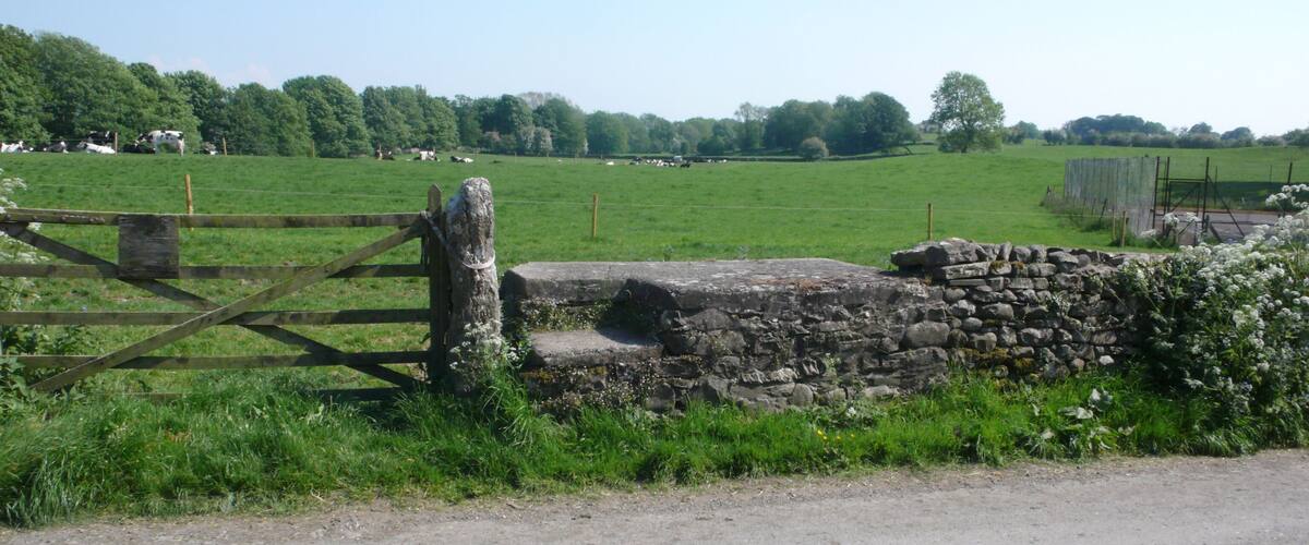A rural landscape with a stone wall, wooden gate, and a field of grazing cows.