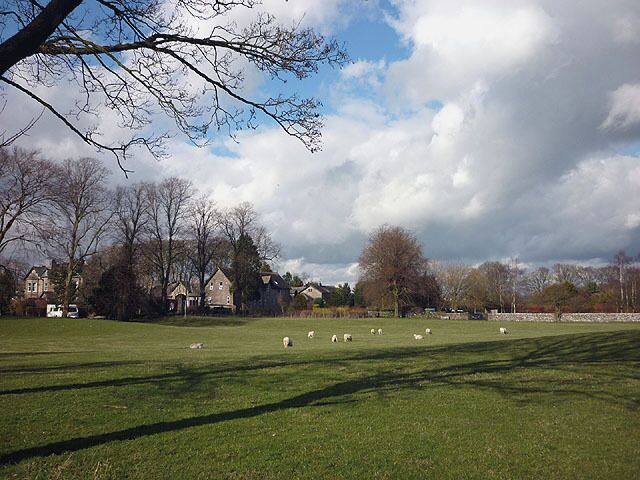 Sheep pasture, Greenside, near to Woodhouse, Cumbria, Great Britain.